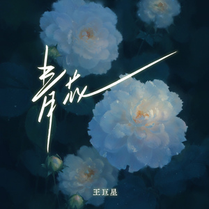 阿布夏树主演的电影在线观看
