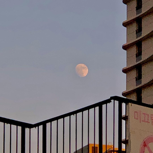 阿布夏树主演的电影在线观看
