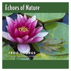 阿布夏树主演的电影在线观看
