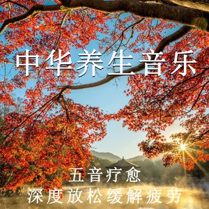 阿布夏树主演的电影在线观看

